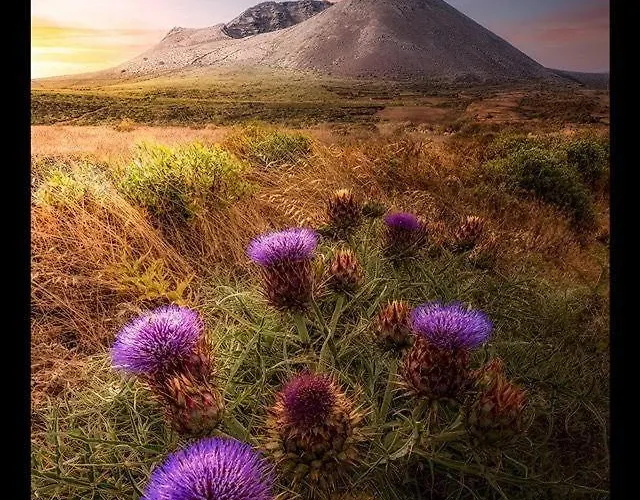 Apartamento Casa Su Lanzarote Puerto del Carmen (Lanzarote)