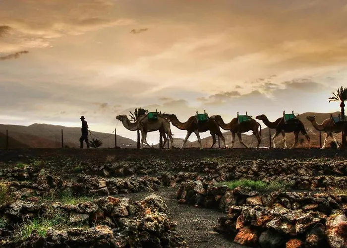 Casa Su Lanzarote プエルト・デル・カルメン