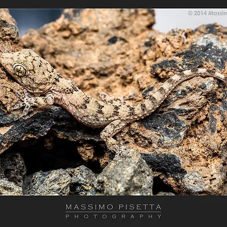 Daire Casa Su Lanzarote *