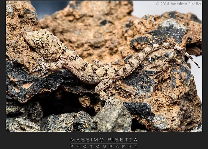 Daire Casa Su Lanzarote *